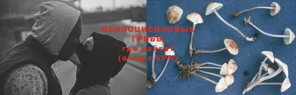mix Козельск