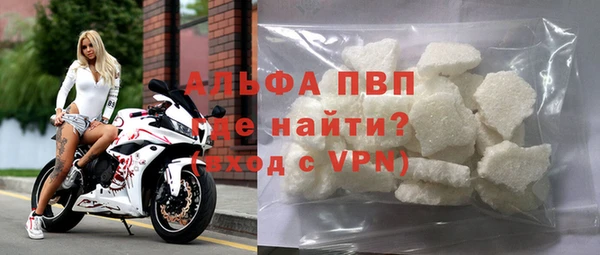 спайс Корсаков