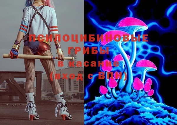 мяу мяу мука Кодинск